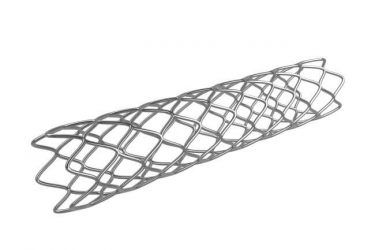 Photo of a stent